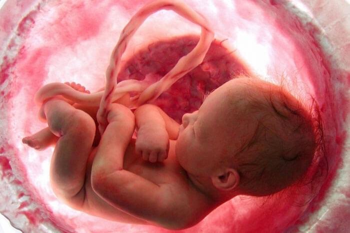 Почему важно вести беременность у специалистов и сдавать анализы